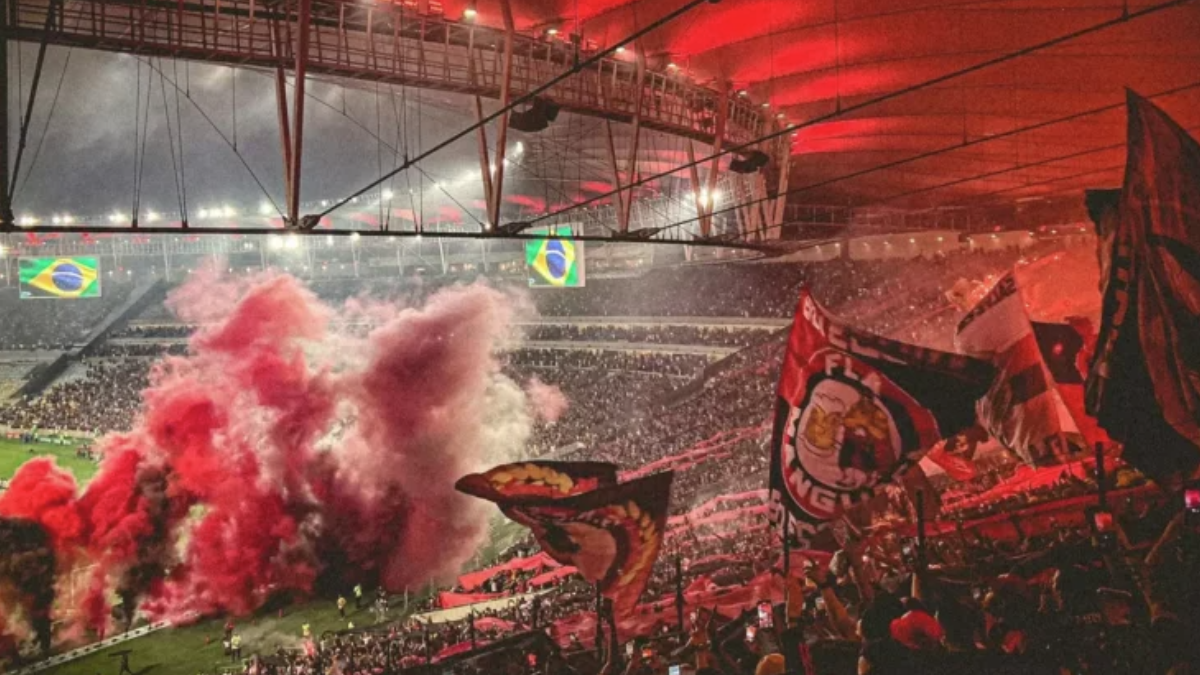 Torcida do Flamengo, a maior do Brasil (Foto: Divulgação)