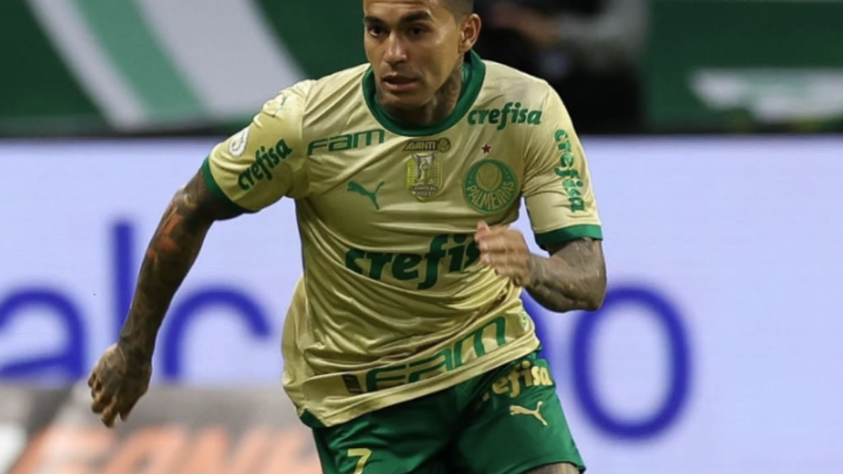 Dudu, do Palmeiras: a caminho do Cruzeiro? (Foto: Divulgação)
