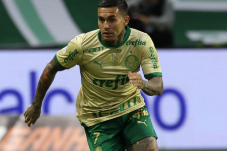 Dudu, do Palmeiras: a caminho do Cruzeiro? (Foto: Divulgação)