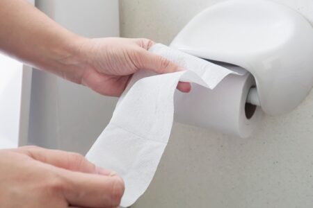 Como as pessoas faziam para se limpar antes do papel higiênico? Veja os métodos que foram usados ao longo dos séculos