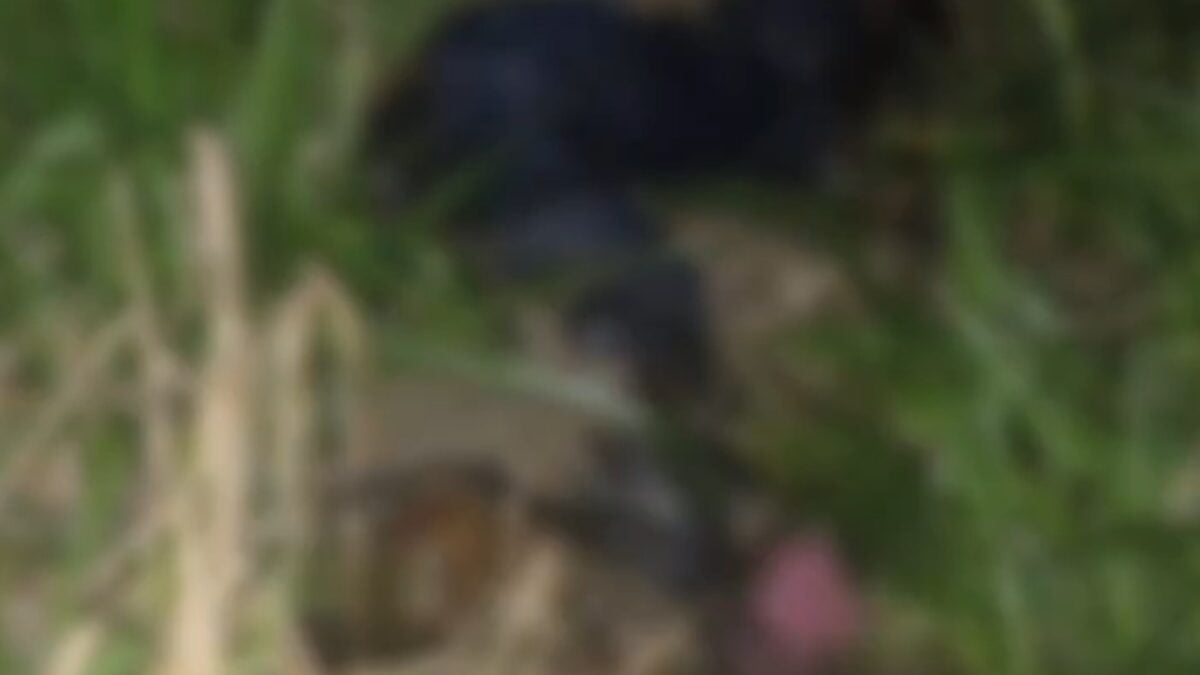 Preso suspeito de matar e ocultar corpo de homem que 'forçou' intimidade, em Goiânia