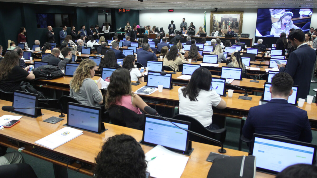 CCJ discute projeto que acaba com aborto legal (Foto: Divulgação)