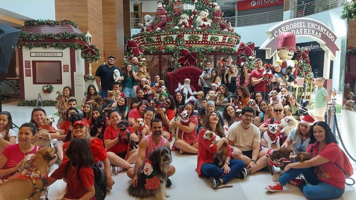 Goiânia terá Natal dos Vira-Latas no próximo domingo