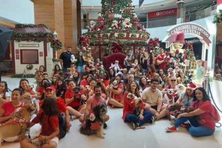 Goiânia terá Natal dos Vira-Latas no próximo domingo