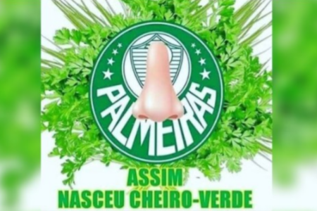 Torcida adversária faz piada com Palmeiras (Foto: Reprodução)