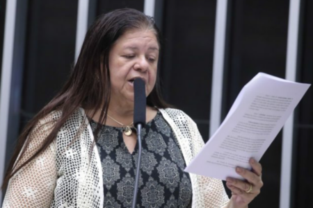 Laura Carneiro, relatora do projeto que foi aprovado na Câmara (Foto: Bruno Spada/Câmara dos Deputados)