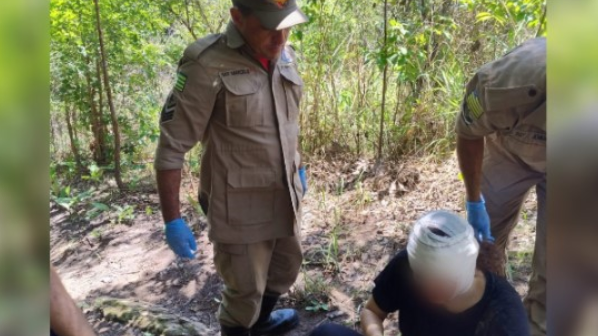 Ocorrência no Parque Estadual de Jaraguá (Foto: Divulgação)