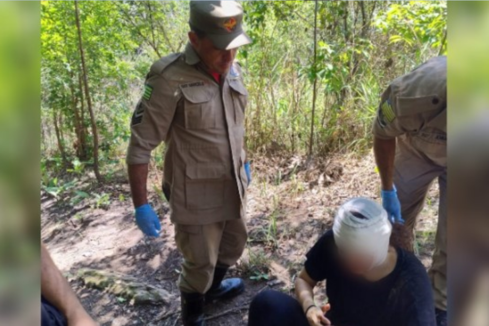 Ocorrência no Parque Estadual de Jaraguá (Foto: Divulgação)