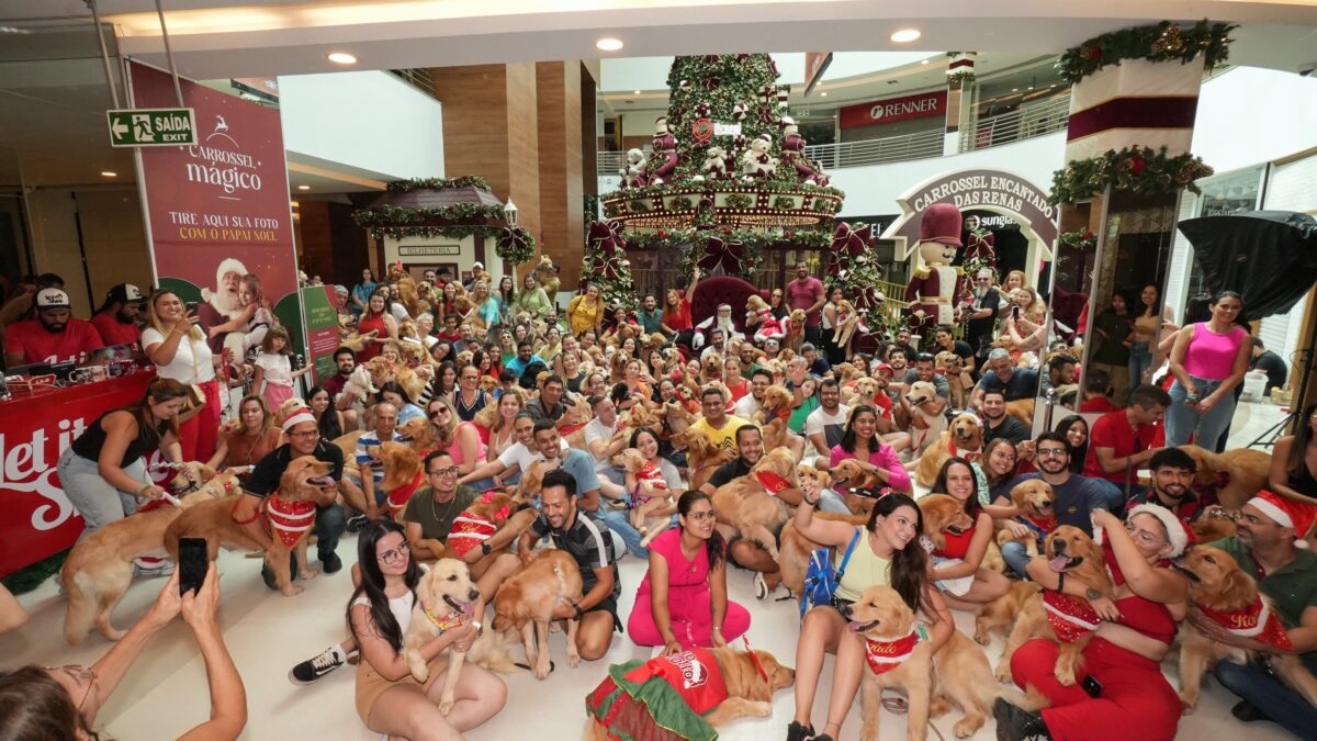 4º Encontro de Goldens com Noel
