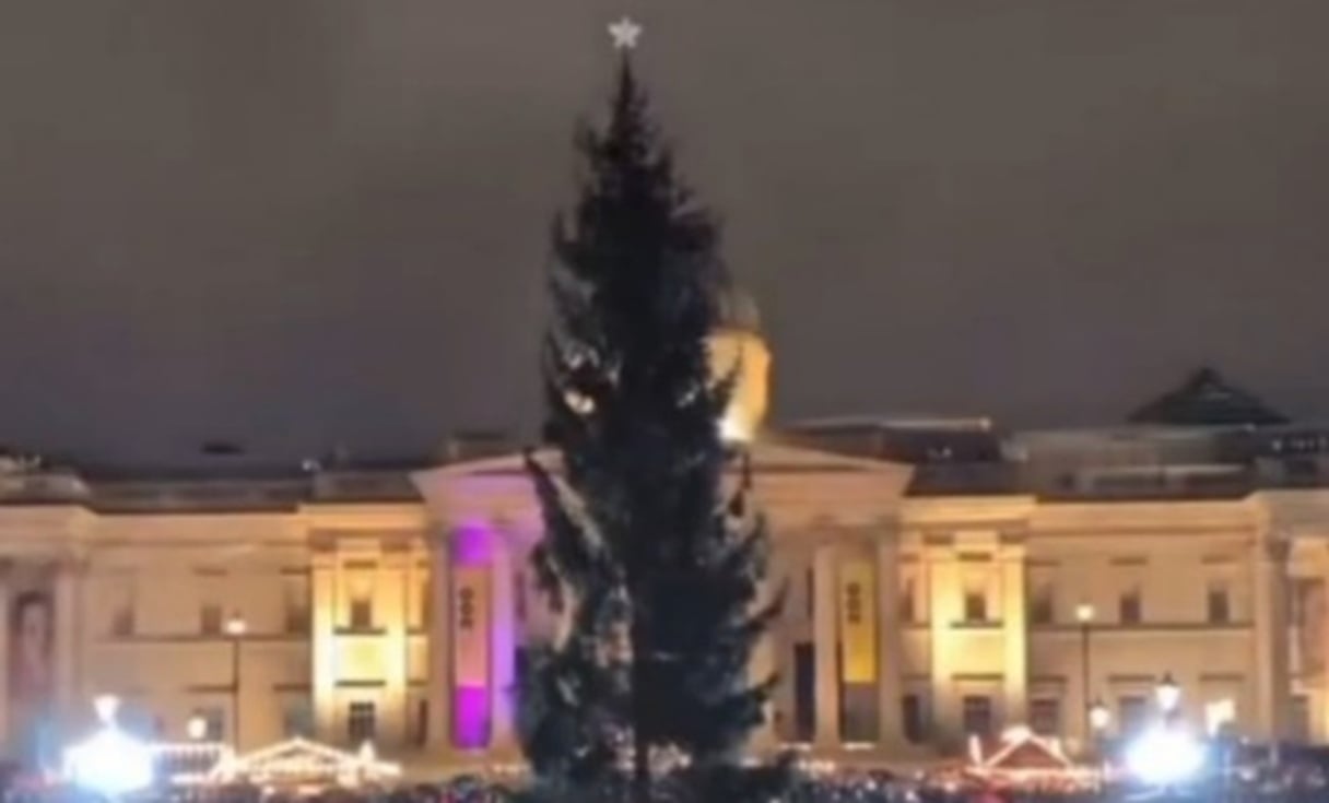 Árvore de Natal em Londres vira meme após iluminação ser revelada; vídeo Reação do público que estava no local foi de desagrado