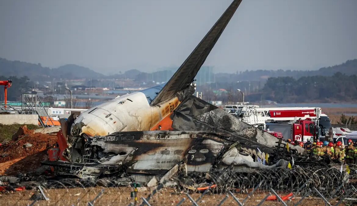 Vídeo: tripulação de voo que explodiu na Coreia do Sul foi alertada sobre pássaros 179 pessoas morreram no acidente