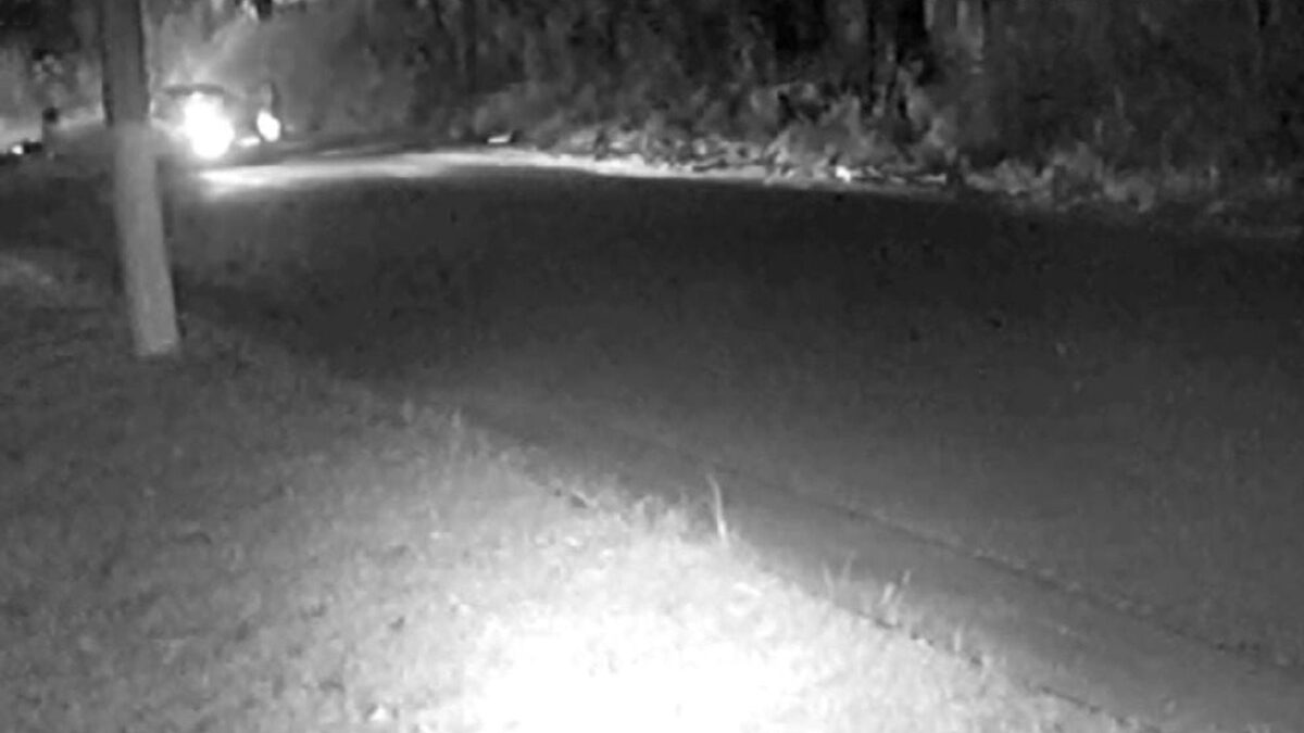 Motorista que atropelou e matou jogador amador em Goiânia se apresenta na delegacia