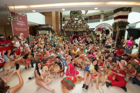 Evento com golden retrievers em shopping (Foto: Divulgação)