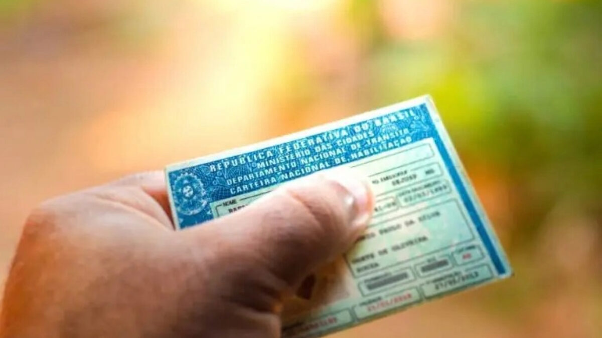 Carteira Nacional de Habilitação (CNH) (Foto: Divulgação/Governo de Goiás)