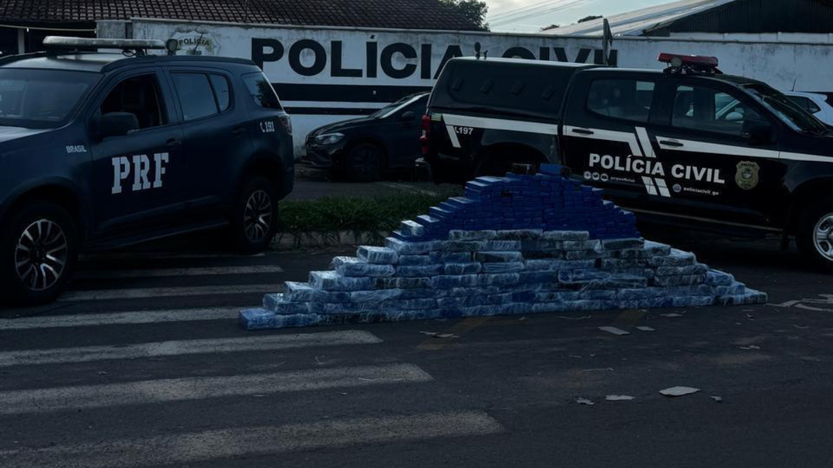 Imagem colorida mostra uma carga de maconha embalada em pacotes. Ela está no asfalto, em frente a duas viaturas da Polícia.