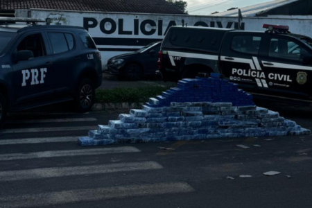 Imagem colorida mostra uma carga de maconha embalada em pacotes. Ela está no asfalto, em frente a duas viaturas da Polícia.