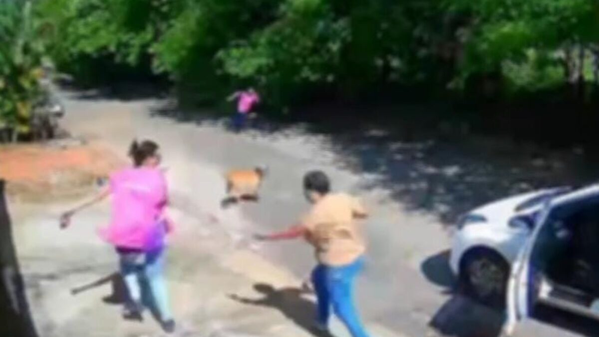 Jovem é perseguida com faca durante assalto no Residencial Santa Fé, em Goiânia