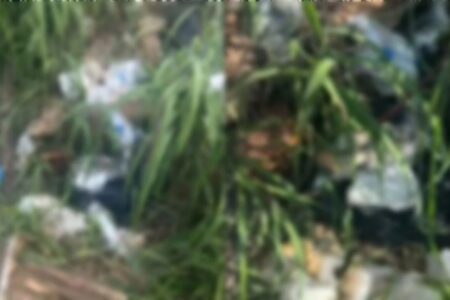 Denúncia leva polícia a sacos com restos mortais humanos em Anápolis Material estava em um lote baldio do Residencial Aldeia dos Sonhos