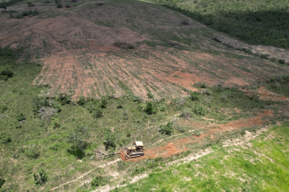 Flagrante de desmatamento em Abadiânia (Foto: Divulgação)