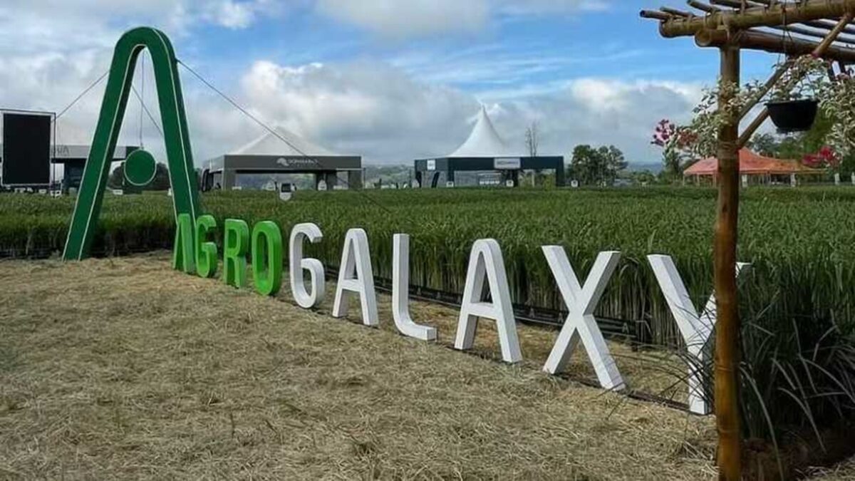 Justiça de Goiás permite que Banco do Brasil retenha recebíveis da AgroGalaxy Empresa deve apresentar seu plano de recuperação judicial