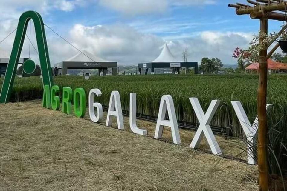 Justiça de Goiás permite que Banco do Brasil retenha recebíveis da AgroGalaxy Empresa deve apresentar seu plano de recuperação judicial