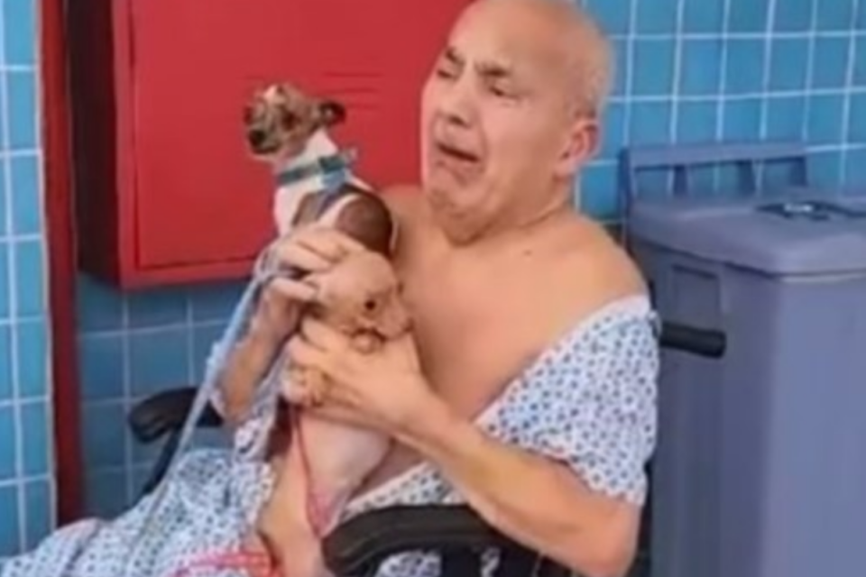 Paciente recebe visita de cachorros na UPA do Riacho Fundo II (Foto: Reprodução)
