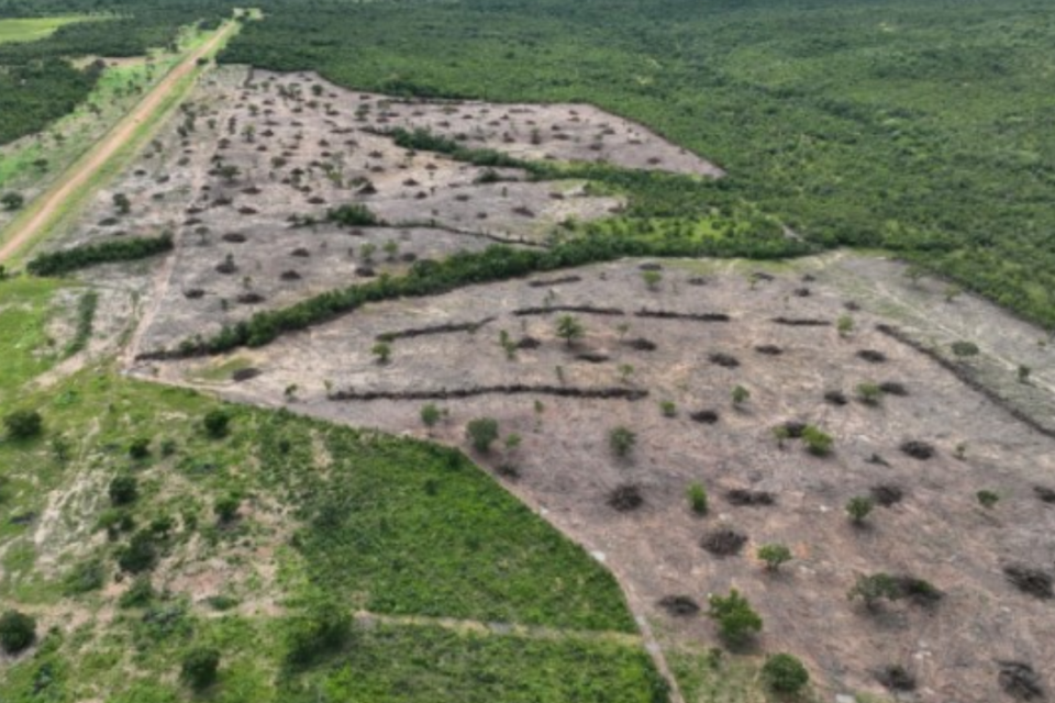 Desmatamento em Teresina de Goiás (Foto: Divulgação)