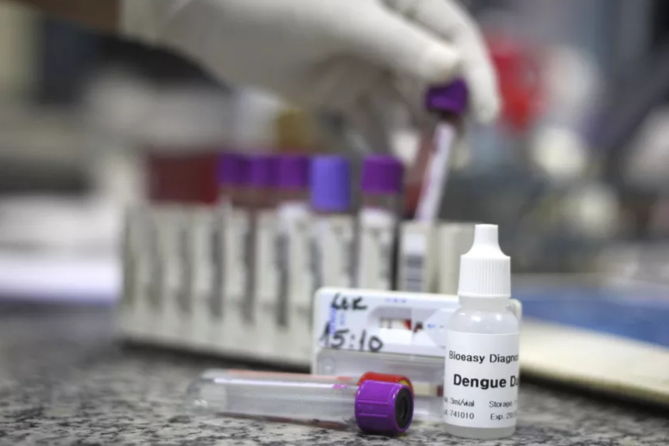 Imagem colorida mostra várias ampulhetas com sangue durante um teste de dengue.