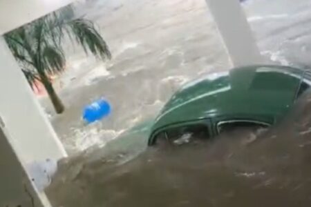 Temporal de sexta-feira (24) na capital paulista foi o mais forte desde 1988 Fuscas raros são levados pela água em loja de São Paulo; vídeo