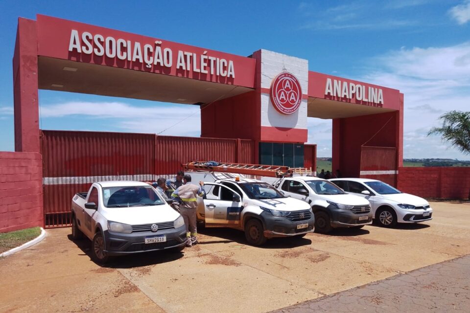 Concessionária identifica gato no CT do time de futebol Anapolina
