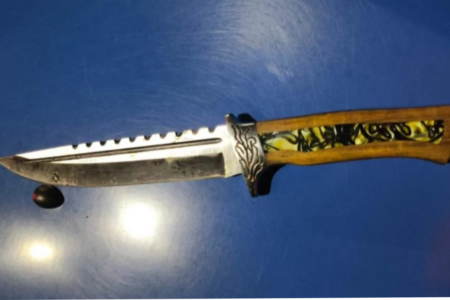 Irmãos são presos por assassinar homem suspeito de matar gato da família, em Goianápolis