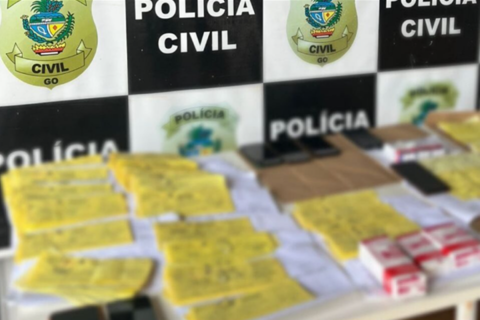 Mais de 200 receitas falsas foram apreendidas (Divulgação PCGO)