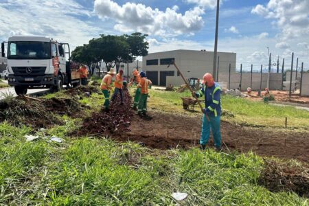 Profissionais fazem operação de limpeza em Goiânia. Foto: Luciano Magalhães/Prefeitura