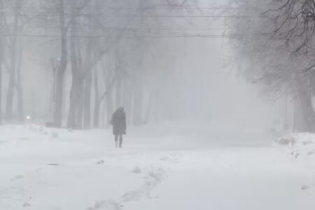 Mulher morre congelada após levar o cão para fazer xixi no quintal Eugenia saiu de casa vestindo pijama sob temperatura de 7 graus negativos