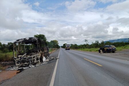 Ônibus pega fogo na BR-020, em Vila Boa de Goiás