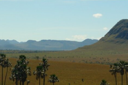 Conselho da APA Pouso Alto: formação equilibrada (Foto: Divulgação)