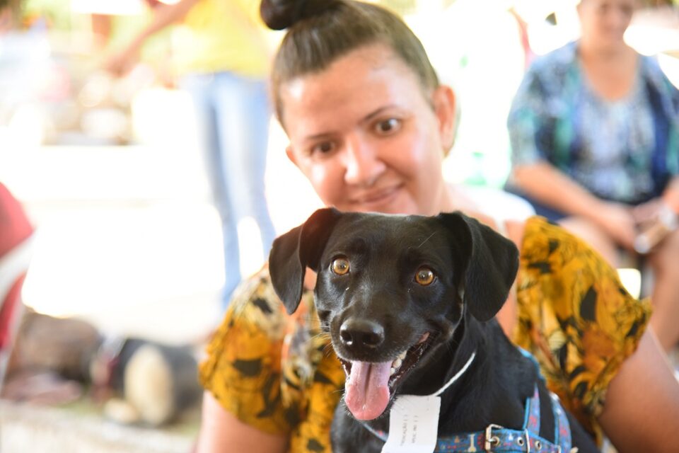 castracao-social-cachorro-jhonneymacena