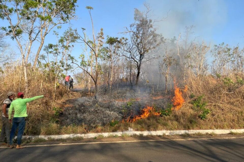 A imagem mostra o jovem sendo abordado pela PM no local onde ateou fogo, as margens da GO-430