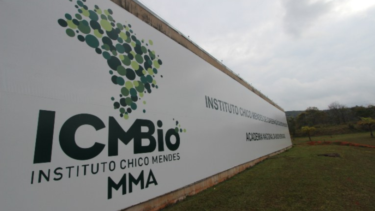 Imagem do mural da ICMBio