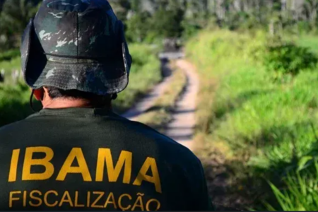 Ibama anuncia concurso com 460 vagas (Foto: Divulgação/Ibama)