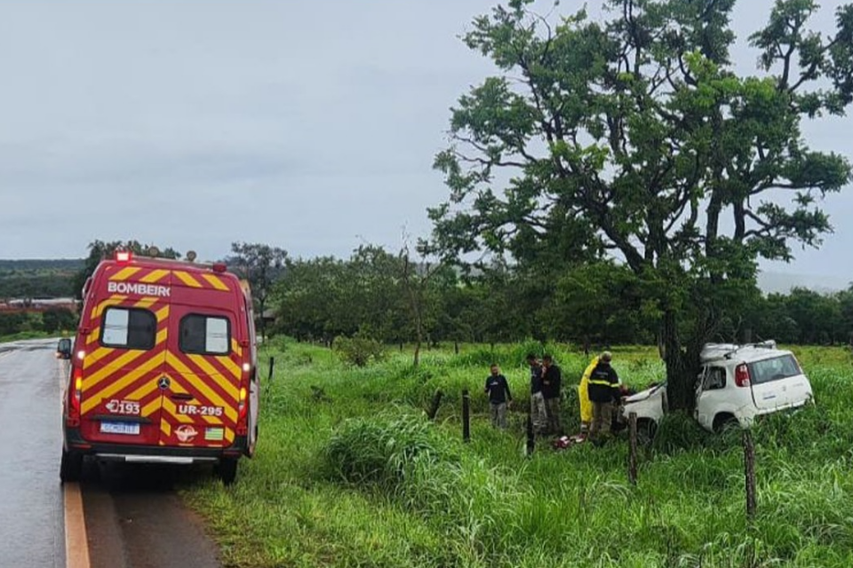 A imagem mosta um resgate realizado pelos bombeiros as margem de GO-430