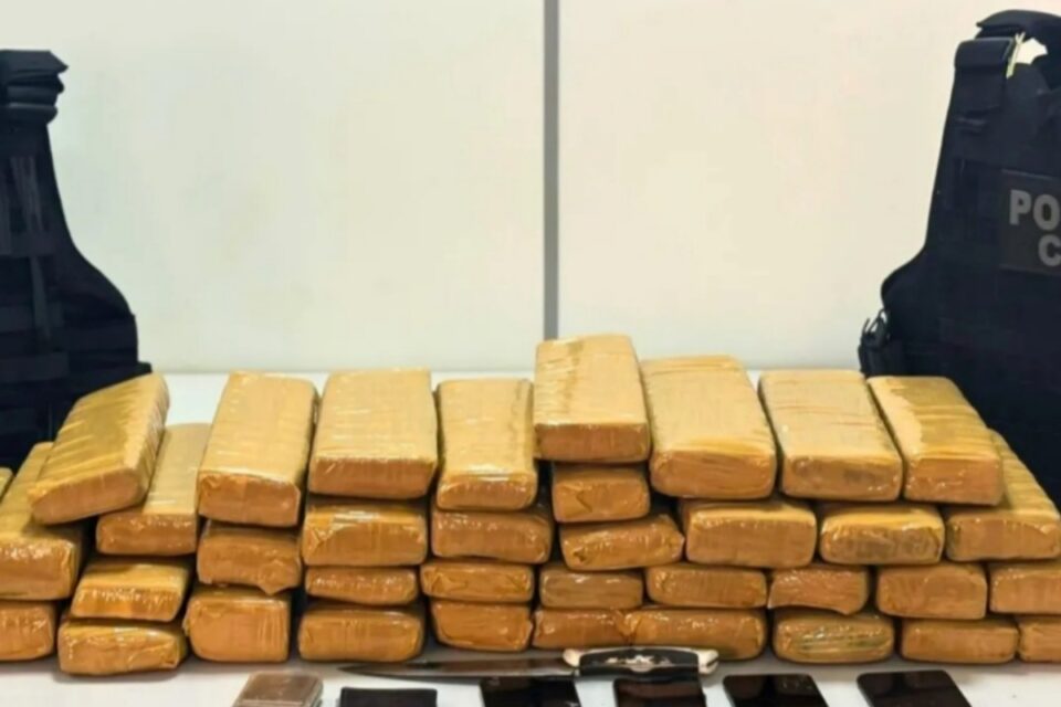A imagem mostra diversos tabletes de maconha