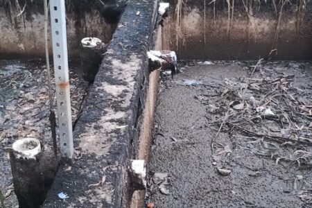 Frigorífico e indústria de beneficiamento de vísceras são autuados (Foto: Divulgação)