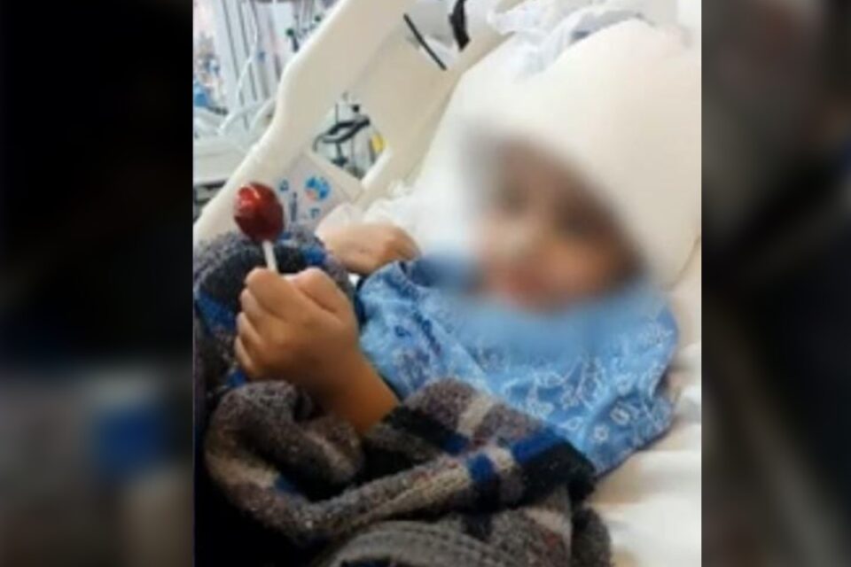 Criança de 2 anos atacada por cachorro da família em Goiânia se recupera no hospital