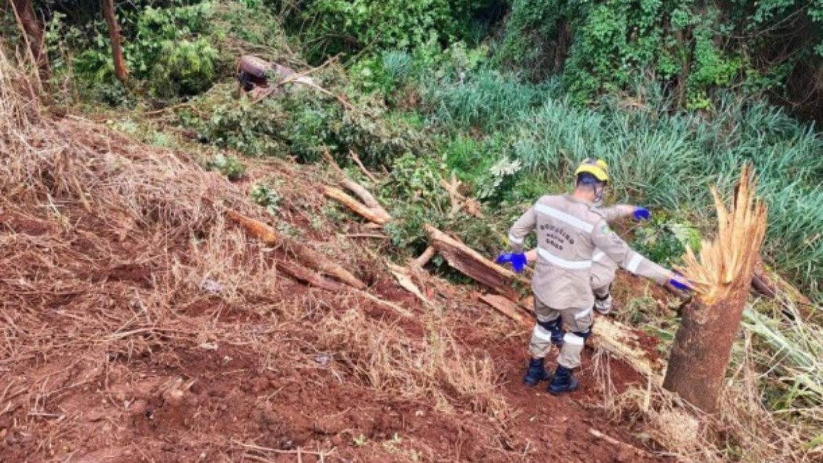 Imagem colorida mostra um militar dos bombeiros realizando um trabalho de resgate em uma área de mata.