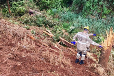 Imagem colorida mostra um militar dos bombeiros realizando um trabalho de resgate em uma área de mata.