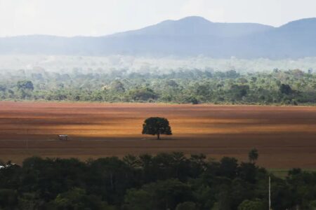 Saída dos EUA do Acordo de Paris deve ser efetivada somente em 2026