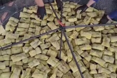 Evento promete distribuir 15 mil pamonhas de graça na Praça do Violeiro, em Goiânia