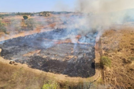 Incêndio criminoso na APA do Planalto Central (Foto: Divulgação)