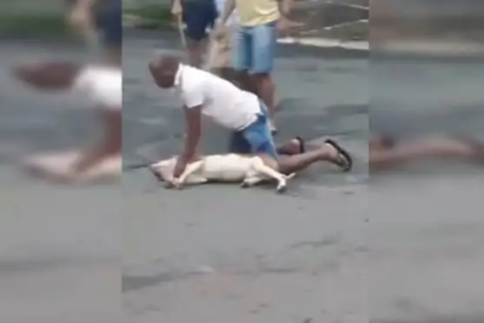 Imagem do PM segurando o pitbull após o ataque